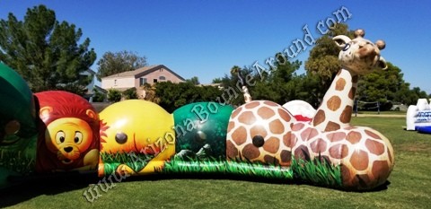 Safari themed inflatables for rent in Scottsdale Arizona
